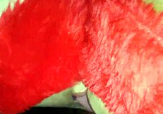 Double Blowjob Action