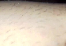 Rapidinha Com A Morena