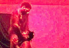 red light special with khokolatebunnie and try-da mayor