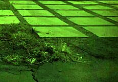 the girl is fucked rough and fast in bondage unless you're from the sixties