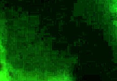 sloppy bbw head with fat emotional intensity