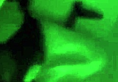 girlfriend sucks my cock sensually, then i cum all over her ass