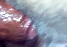 Monroe's big butt takes a hard dick