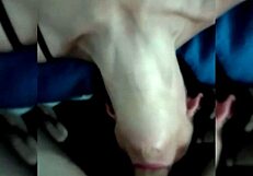 Tassie Queen Chastity-Eve Masters Deepthroat in Hardcore Amateur Action