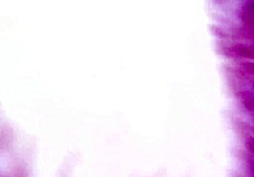 Up close and personal