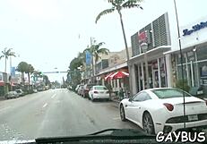 homosexual tumblr sex vibes