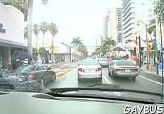 homosexual tumblr sex vibes