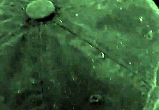 I passionately suck my boyfriend's cock and lick his ass