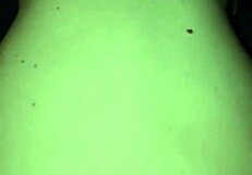 Jeff and Tiff fucking like wild sluts!