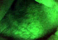 Amateur Couple Enjoying Hard on Bed