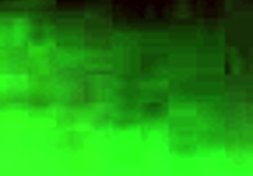 Amateur Couple Enjoying Hard on Bed