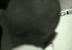 peto marcell in gay performance