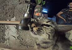 Gabriela Ramos Fucks Bettohfitness Behind Scenes In Carpentry