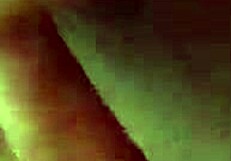 tes�o shows off her tattoo in a casual chat