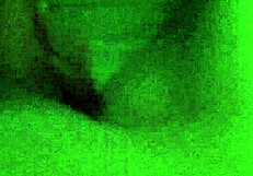 Trimmed Amateur Video Clip