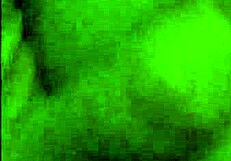 she rides big dick passionately