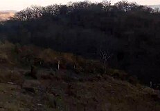 I surrender to Adolfo's intense desires in our world.