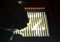 milf threesome blowjob at work