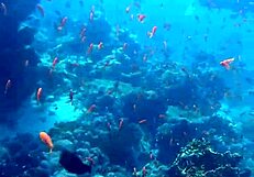 Cute teen couples indulge in public yacht sex with creampie.