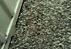 Young Teen 18+ Strokes Monster BBC Cock in Public, Leading to Cum