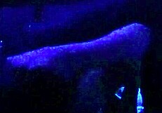 Scarlett Johnson Blacklight Sex Left 3?