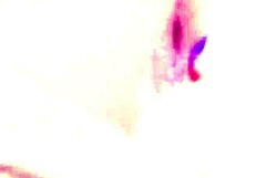 Img 4214 Mov Captures Intimate Moments