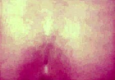 i feel so guilty fucking my hot stepsister pov while hiding from my boyfriend, but she's so arousing and horny.