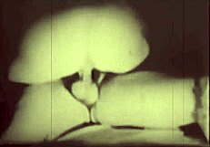 Vintage British Hairy Pussy Porn