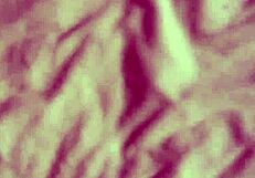 Can This Petite Teen Handle POV Fingering And Cumshot?