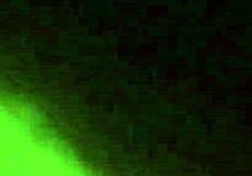 face fucking this mature whore until she gags and swallows