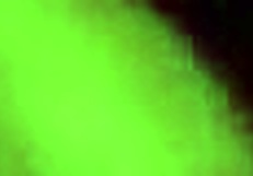 face fucking this mature whore until she gags and swallows