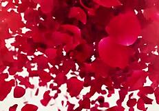 Erotic yoga session with stunning pornstar Alexis Crystal