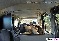 Big tits woman fucking her hubby in the backseat!