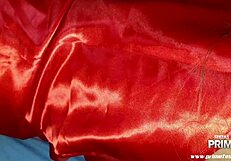 Husband Wakes Wife for Fun