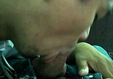 my nephew sucks my big cock eagerly