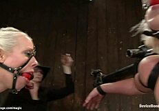 Watch Lesbians Whip and Deepthroat in Back Arch Bondage!