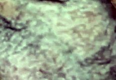 arrombando o cuzinho no hotel fênix da barra funda com tesão