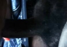 Red BBW Sucks Dick In Car