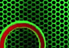 Charlee chase licks big clit.