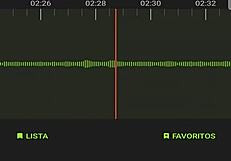 Overhearing Neighbors' Intimate Moments in Argentina