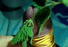 Hey, ifoslave is playing with rubber bands! 😊