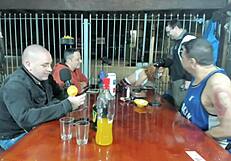 pagaram 50 reais para a dany rio official fazer um boquete ao vivo no podcast ela aceitou e deixou os convidados desconfortaveis com a cena