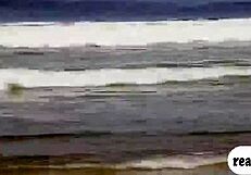 lovely badass babes, blonde and brunette, enjoyed swinging naked outdoors in this reality scene.