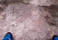 i'm a gay brasileiro masturbating in the mato, feeling horny