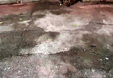 i'm a gay brasileiro masturbating in the mato, feeling horny