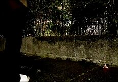 Taiwanese Ladyboy in Cosplay Masturbates Outdoors with Dildo in Wild Scene