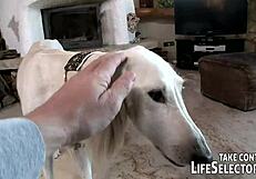 Perfect Weekend Pick-Ups During Holiday: Group Adventures and Fun Activities