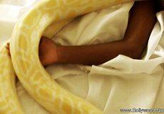 Asian milf gives blowjob casually