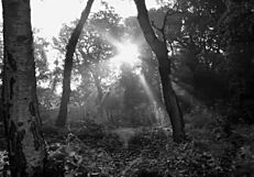 Porn agent deeply fucks young Russian chick's throat in hardcore scene