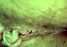 Pussy Play With Sexy Touches And Intimate Exploration